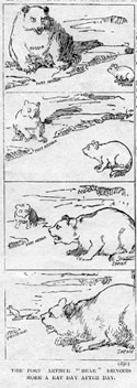 Port Arthur bear cartoon